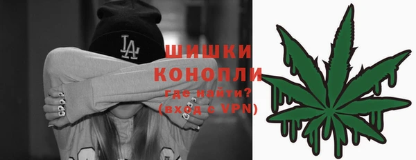 соль ск Няндома