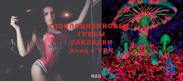 соль курить ск Нязепетровск