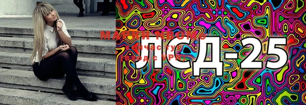 соль ск Няндома