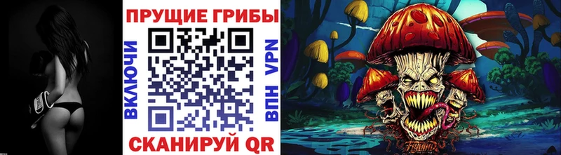 Купить  Барнаул  Галлюциногенные грибы Magic Shrooms